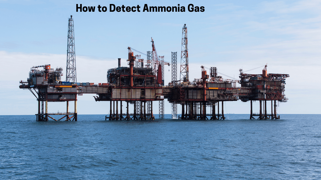 How to Detect Ammonia Gas: A Complete Safety Guide